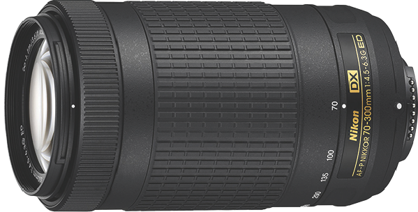 Nikon AF-P DX Nikkor 70-300mm f/4.5-6.3G ED VR JAA829DA