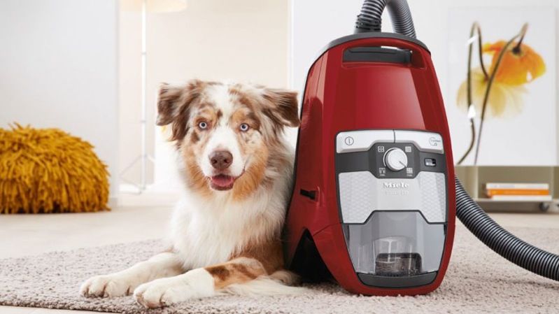 Miele Blizzard CX1 Cat & Dog Vacuum Cleaner 10502220