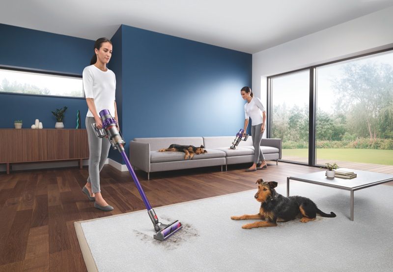 Dyson Cyclone V10 Animal Cordless Vacuum 28627301 Review National Product Review -